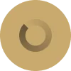 Custom CMS icon